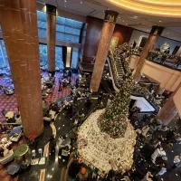 クリスマスシーズンはツリーが綺麗です