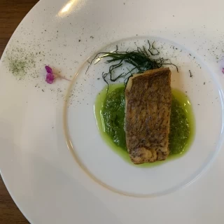 魚