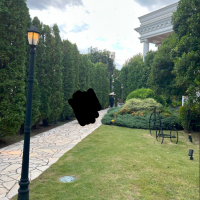 式場までのお庭です