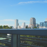 フラワーシャワー中の景色です
