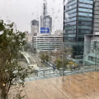 眺め