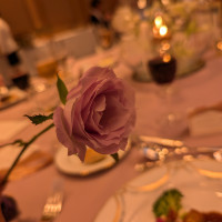 お花刺しの花