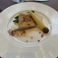 料理