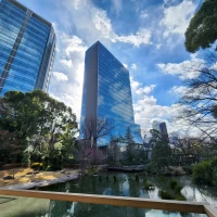 都会の高いビル群と、自然の調和が素敵なお庭。2月撮影