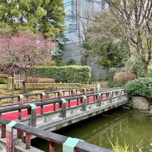 参進の儀で歩く、池の上の橋。婚礼衣装が映えそうです。|692194さんの東郷神社／原宿 東郷記念館の写真(2049229)