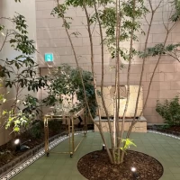 中庭　ここでケーキカットなどの演出も可能