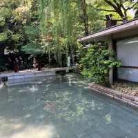 緑と水鏡が晴れ間にとても映えていました。