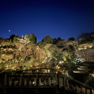 ライトアップされ夜も美しいです。