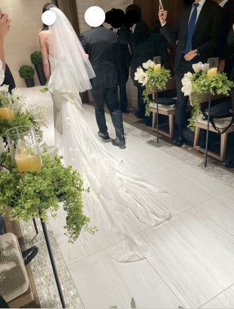 THE STRINGS HAKATA / ザ ストリングス ハカタ