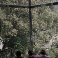 待合室から見えるお庭です