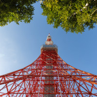 挙式会場正面の東京タワー