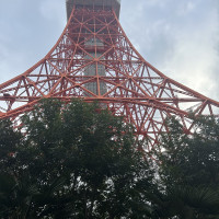 庭から見える東京タワー
