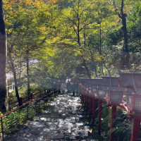 神社の階段