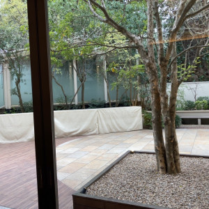 庭|693024さんのリビエラ東京の写真(2095992)