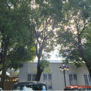 駐車場から見た外観「木で囲まれてる」|693106さんのアルカーサル迎賓館川越の写真(2056020)
