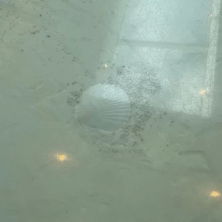 チャペルの床