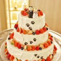 一からオーダーするケーキ