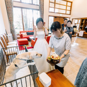 愛犬も結婚式の主役のひとり。みんなと一緒にスイーツタイム。|693498さんの軽井沢倶楽部 有明邸の写真(2404116)