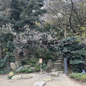 四季折々のお花が咲いているそうです。|693518さんの高宮庭園茶寮の写真(2059239)