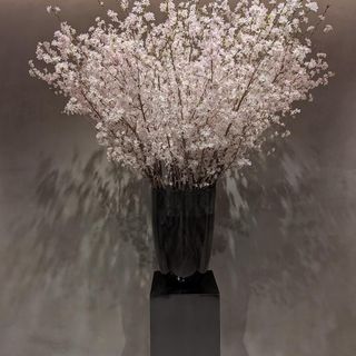 IWAI OMOTESANDO(イワイ オモテサンドウ)のクチコミ チャペル・挙式会場の写真（1枚目）