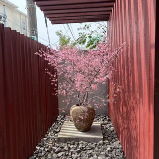 IWAI OMOTESANDO(イワイ オモテサンドウ)のクチコミ 外観・ロビーの写真（2枚目）