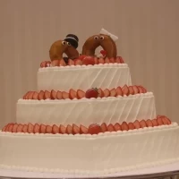 ケーキ