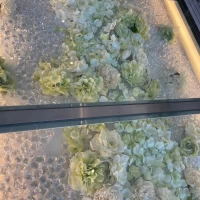 チャペル床3