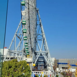 観覧車が見える