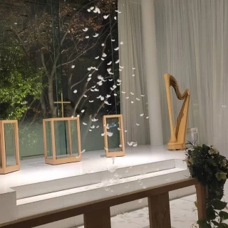 白基調で外は自然なのでナチュラル