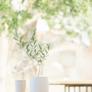 植樹のセレモニー