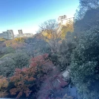 少し紅葉も見れて綺麗でした