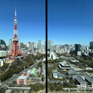東京タワーとスカイツリーがダブルで見える