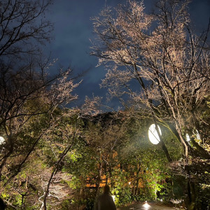 緑と優しい調光が素敵でした！|695055さんのTHE SODOH HIGASHIYAMA KYOTO（ザ ソウドウ 東山 京都）の写真(2109503)