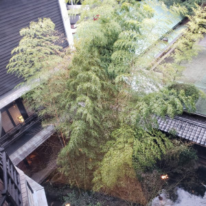 中庭|695059さんのTHE KAWABUN NAGOYA（ザ・カワブン・ナゴヤ）の写真(2076273)