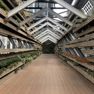 チャペル
夏場は植物が茂って綺麗
