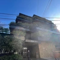 ナチュラルな外観