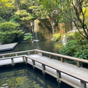 滝の近くまで行けるように橋がかかっています。|695797さんのホテル雅叙園東京の写真(2246925)