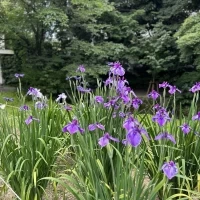 美しい庭園