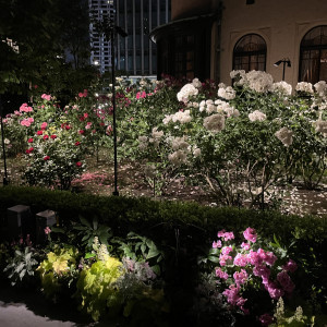 夜の庭|695874さんの赤坂プリンス クラシックハウスの写真(2081792)