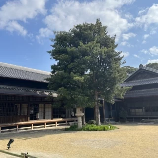 風情あふれるお庭でした。