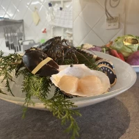 動くエビ