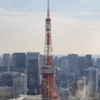 披露宴会場からの景色