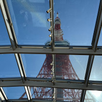 チャペルの天井