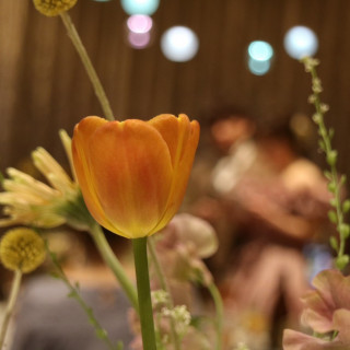 花がかわいい