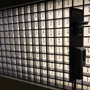 エレベーター降りてすぐ左の壁に、写真映えするスポットがある|696736さんのNOVEL SHINSAIBASHI（ノベル 心斎橋)の写真(2088820)