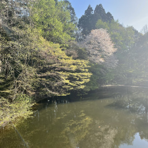 桜も咲いてます、秋は紅葉だそうです|696760さんのアートホテル成田の写真(2107984)