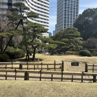 日本庭園