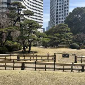 日本庭園|696819さんのホテルニューオータニの写真(2110362)