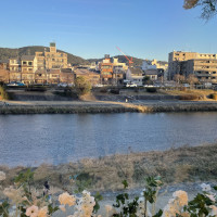 テラスから見える鴨川