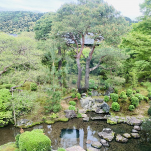 庭|697365さんの桜鶴苑の写真(2125841)